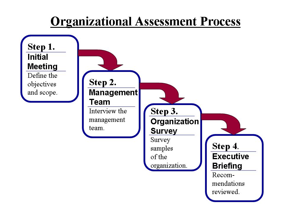 Organizational Assessment Process